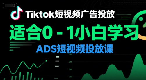 Tiktok短视频广告投放，适合0-1小白学习ADS短视频投放课-网创教程
