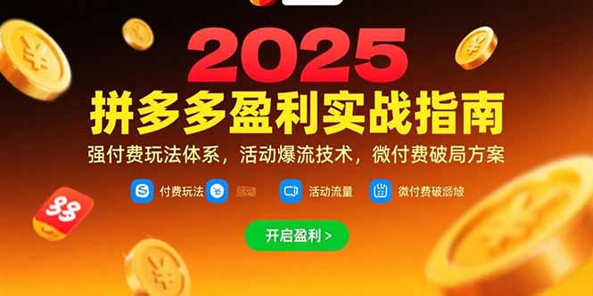 拼多多盈利实战指南，强付费玩法，活动爆流技术，微付费破局方案(更新7月-网创教程