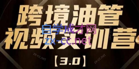 阿蔺Leo·跨境油管视频YouTube实训营(更新2025)-网创教程