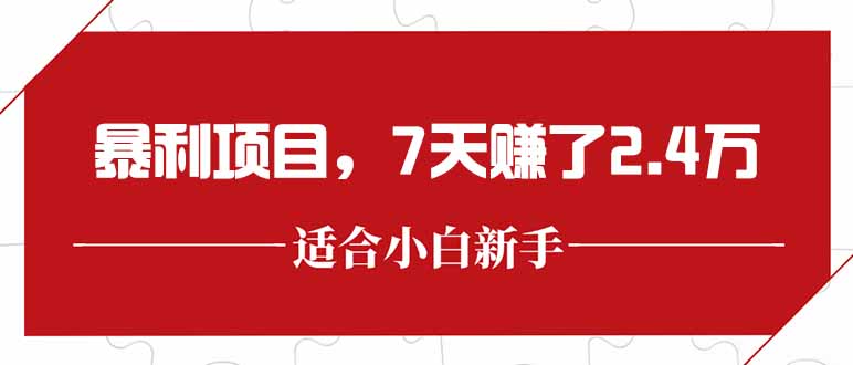 最新暴利项目，每单收益轻松在300以上，7天赚了2.4万-网创教程