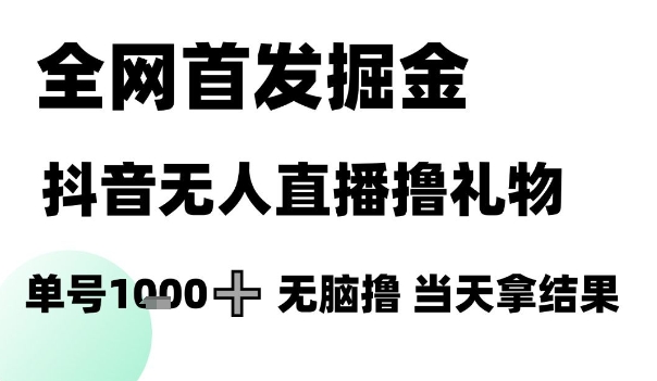 全网首发掘金抖音无人直播撸礼物，单号1k +无脑撸，当天拿结果【揭秘】-网创教程