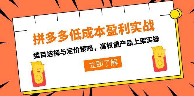 拼多多低成本盈利实战，类目选择与定价策略，高权重产品上架实操-网创教程