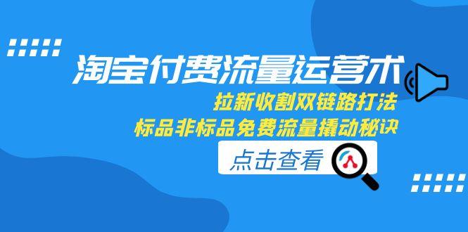 淘宝付费流量运营术，拉新收割双链路打法，标品非标品免费流量撬动秘诀-网创教程