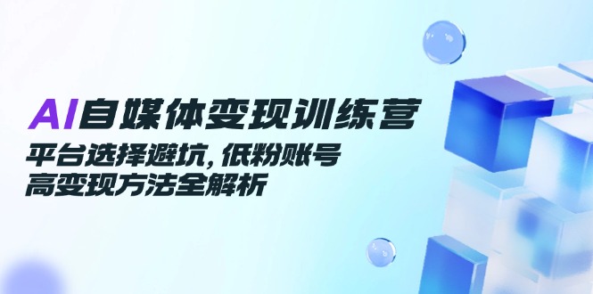 AI自媒体变现训练营，平台选择避坑，低粉账号高变现方法全解析-网创教程