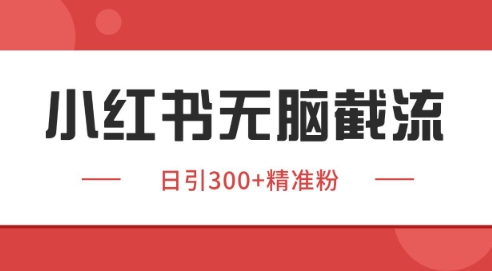 小红书截流同行客源，独家野路子获客玩法 日引200+暴力获客【揭秘】-网创教程