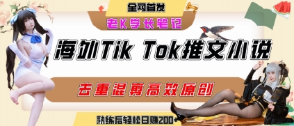 海外tiktok小说推文暴力项目，高停留率，高转化率，上手后一天搞顿饭钱不是问题-网创教程
