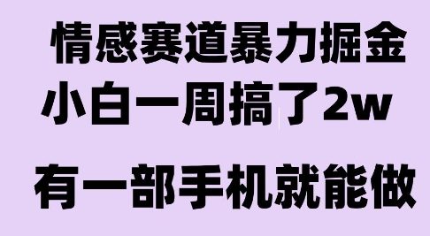 情感暴力掘金项目，新人操作一周挣了2W，长期稳定小白可做【揭秘】-网创教程