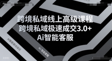 跨境私域线上高级课程，跨境私域极速成交3.0+Ai智能客服-网创教程