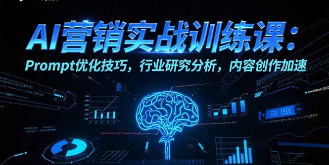 AI营销实战训练课：Prompt优化技巧，行业研究分析，内容创作加速-网创教程