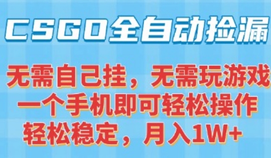 CSGO自动捡漏项目,最新独家玩法,一个手机可操作,新手小白轻松月入1W+,操作简单易上手【揭秘】-网创教程