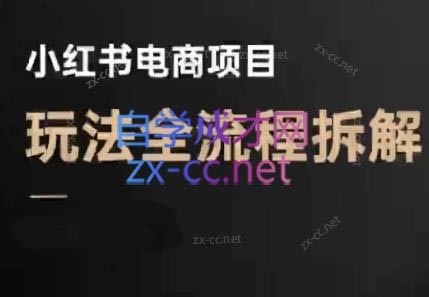 菲菲老师·小红书电商玩法(更新7月)-网创教程