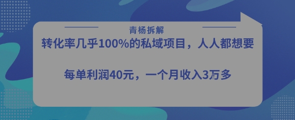 转化率最高的私域项目，每单利润40-50米，月入过1w-网创教程