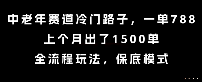 中老年赛道冷门路子，一单788，上个月出了1500单，全流程玩法，保底模式【揭秘】-网创教程