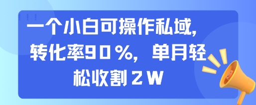 一个小白可操作私域，转化率90%，单月轻松收割2W-网创教程