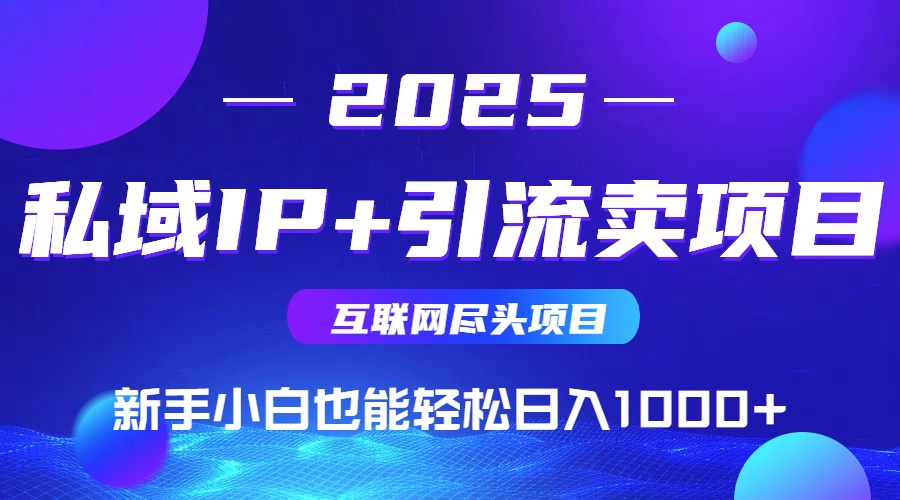 2025网创尽头项目，私域IP+引流，新手小白也能在家日入1000+-网创教程