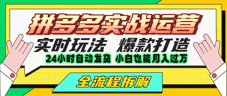 拼多多最新实战运营高投产：长久稳定项目，单店利润一天三位数-网创教程