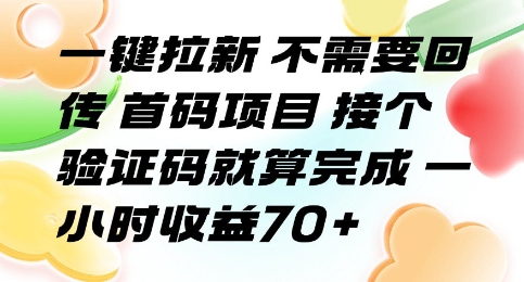 一键拉新 不需要回传 首码项目 接个验证码就算完成 一小时收益70+【揭秘】-网创教程