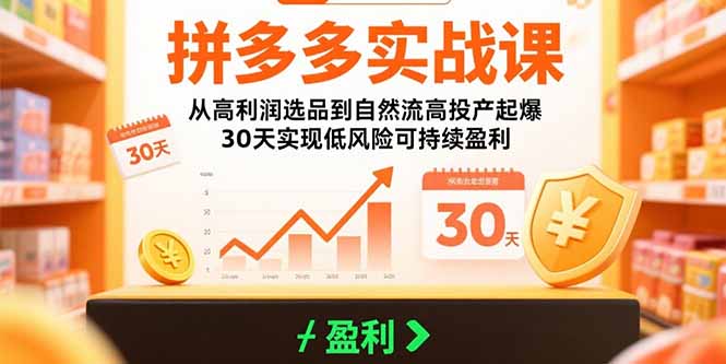拼多多实战课：从高利润选品到自然流高投产起爆 30天实现低风险可持续盈利-网创教程