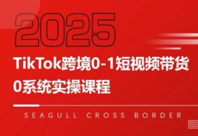 大亿老师·TikTok跨境0-1短视频带货-网创教程