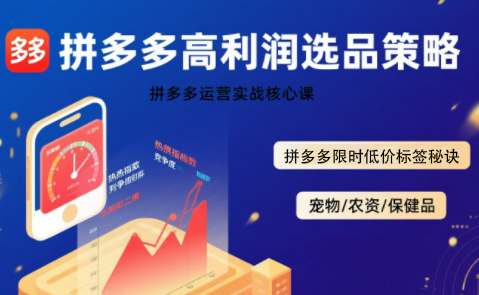 久号老师·拼多多选品暴利技术实战课-网创教程