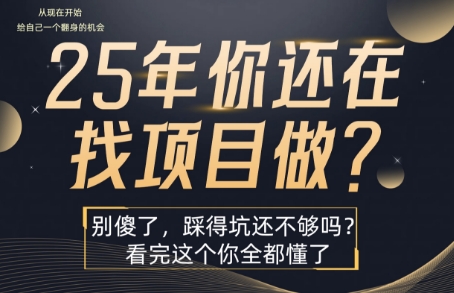 25年，你还在疯狂的找项目吗？别傻了，看完这个你都懂了【揭秘】-网创教程