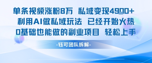 单条视频私域变现4.9k+利用AI做私域玩法 已经开始火热0基础也能做的副业项目轻松上手-网创教程