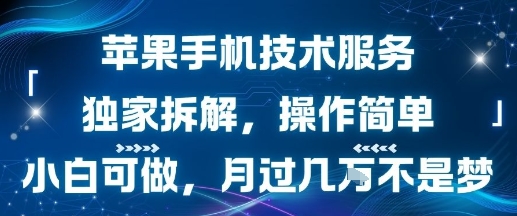苹果手机技术服务，独家拆解，操作简单，小白可做，月过1W不是梦-网创教程