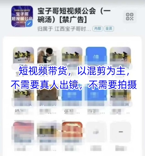 宝子哥头部团队短视频带货，以混剪为主，不需要真人出镜，不需要拍摄【更新8月】-网创教程