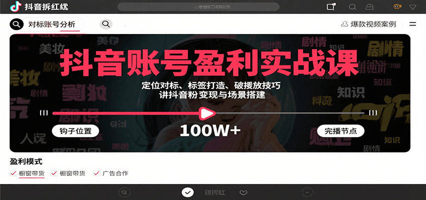 抖音账号盈利实战课，定位对标、标签打造、破播放技巧，讲涨粉变现与场景搭建-网创教程