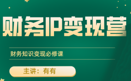有有老师·财务IP变现营，财务知识变现必修课-网创教程