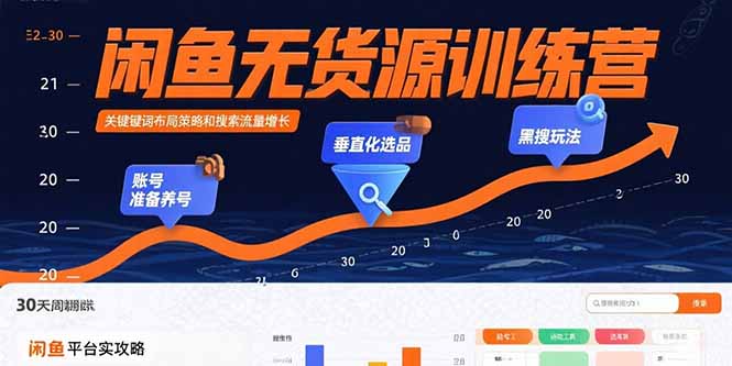 闲鱼无货源训练营：账号准备养号/垂直化选品/黑搜玩法，0基础30天盈利指南-网创教程