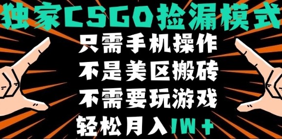 CSGO自动捡漏项目，最新独家玩法，不是美区搬砖，不需要了解和玩游戏，新手小白轻松月入1W+【揭秘】-网创教程