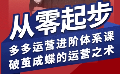 拼多多运营进阶系统课，从零起步，多多运营进阶体系课，破茧成蝶的运营之术-网创教程