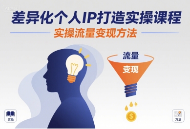 差异化个人IP打造实操课程，实操流量变现方法-网创教程