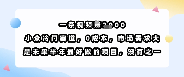 一条视频挣1k，小众冷门赛道，0成本，市场需求大，是未来半年最好做的项目，没有之一-网创教程