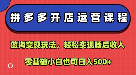 拼多多开店运营课程：蓝海变现玩法，轻松实现睡后收入，零基础小白也可日入5张-网创教程