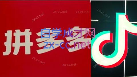 老陶电商·拼多多+抖音小店无货源开店(更新8月)-网创教程