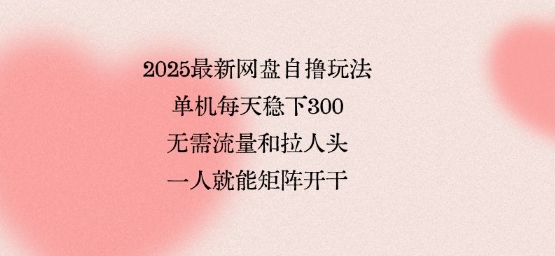 2025最新网盘自撸玩法，单机每天稳下3张，无需流量和拉人头，一个人就可轻松矩阵，全网独一份【揭秘】-网创教程