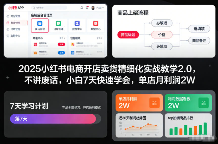 2025小红书电商开店卖货精细化实战教学2.0，不讲废话，小白7天快速学会，单店月利润2W-网创教程
